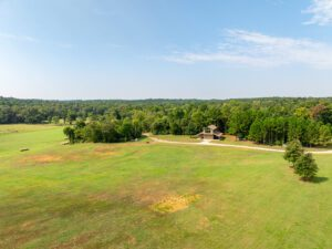 Open pasture