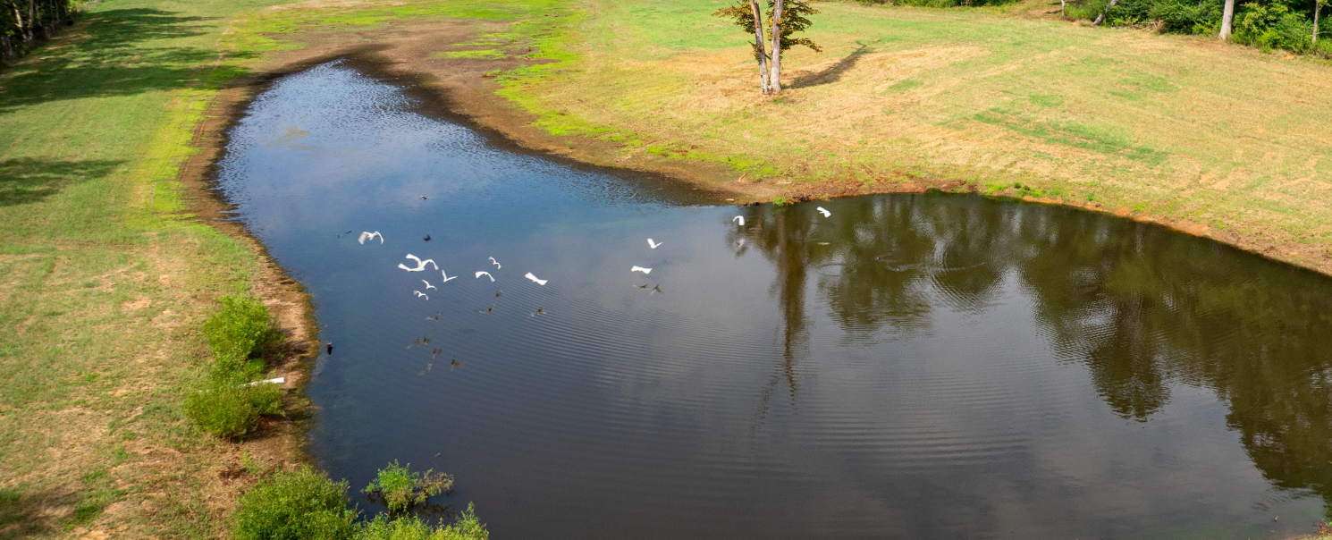 Pond at Conaway Family Farm
