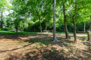 Wooded entrance