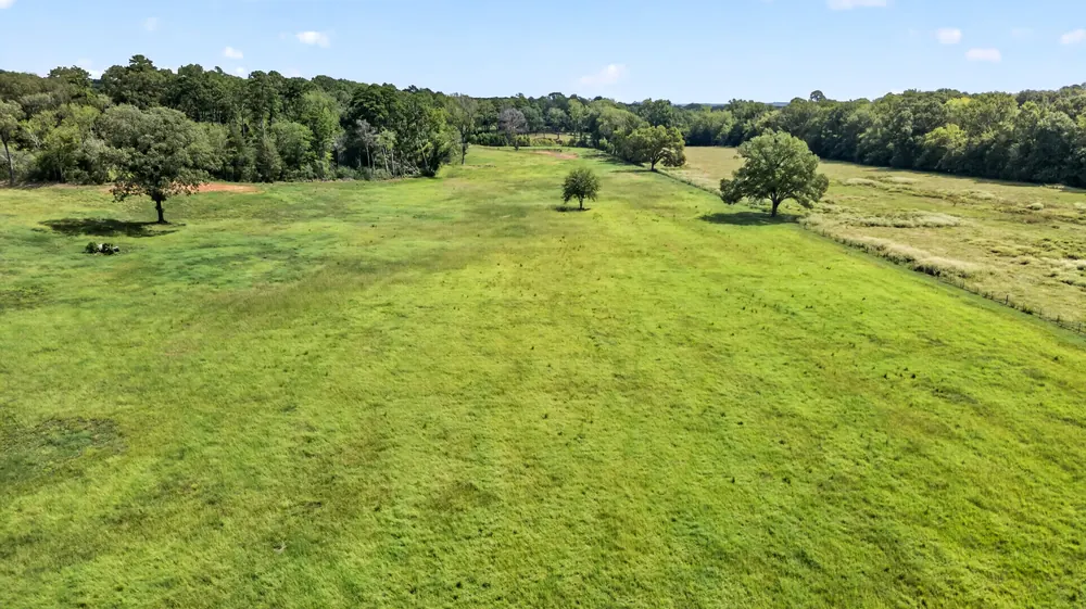 Open pasture at Conaway Family Farm