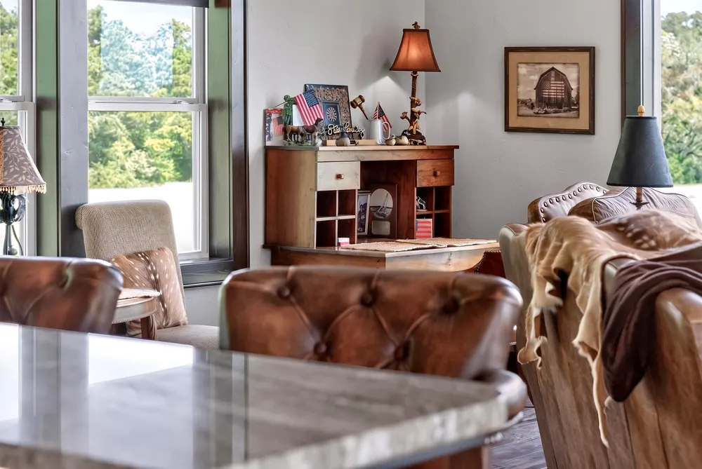 Living room detail and natural light
