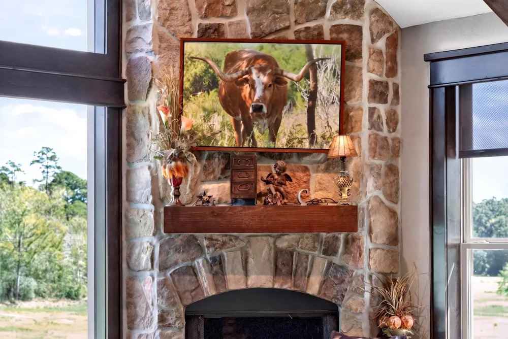 Fireplace art and stonework detail